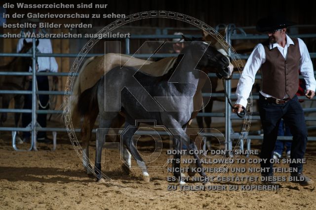 s_K3F04729.JPG